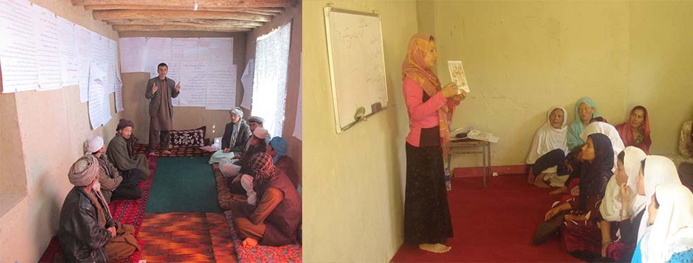 Drukhshan e Balkh Training & Capacity Building